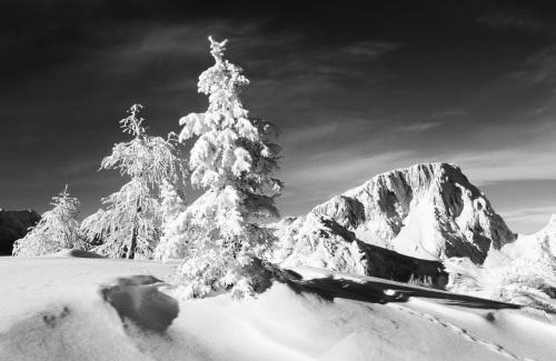 Sonnenalpe Nassfeld Apartamento | Almhaus Nassfeld