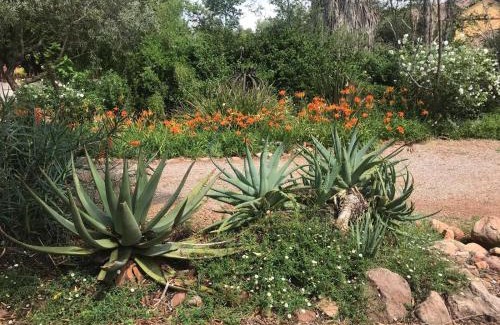 Klerksdorp Cama Y Desayuno | Aloe Guesthouse Klerksdorp