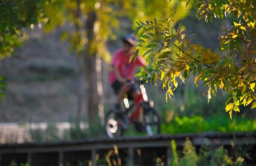 Estreito Casa | Alojamentos Turísticos São Torcato Moradal Turismo Espaço Rural