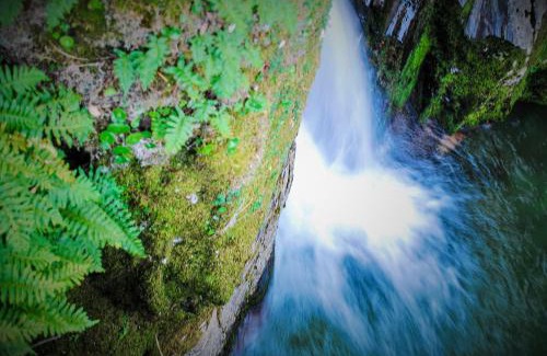 Estreito Casa | Alojamentos Turísticos São Torcato Moradal Turismo Espaço Rural