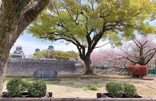 Chuo Ward Apartamento | Alpie A102 free parking5 min walk to Kumamoto C / Kumamoto Kumamoto
