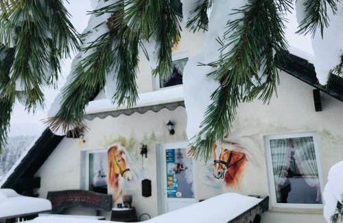 Zarnesti Casa | Alpin Ranch