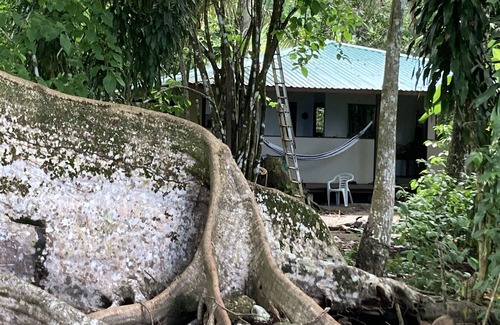 Puerto Jiménez Casa | NUEVO HOGAR EN LA PLAYA EN LA SELVA. Surf, cascada, yoga, restaurantes cercanos.
