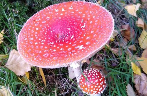 Eppendorf Apartamento | Alster City Garden Villa