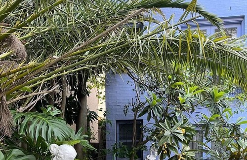 Waterloo Villa | Altus Sydney Villas