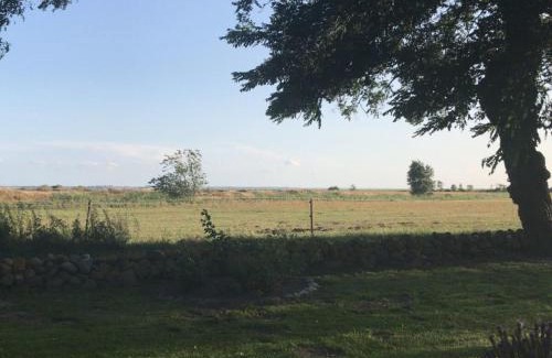 Born auf dem Darss Apartamento | Am Borner Holm