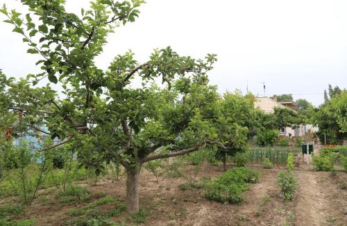 Issyk-Kul Region Casa | Amanat & KK guest house