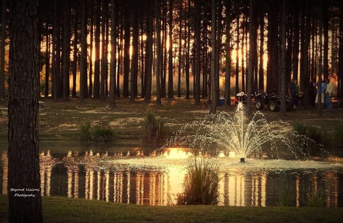 Talisheek Cabina | Amazing Campground w/80 acres to explore along the beautiful Bogue Chitto River!