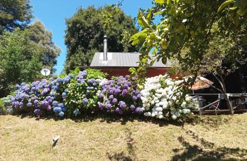 Pucon Chalet De Esquí | amazing view of the volcano