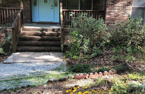 Salem Cabina | Sorprendentemente Montaña Serene Get Away