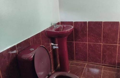 Indiana Cabina | Amazon Nativo Lodge - Double room 2