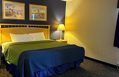 Waverly Hotel | Ameristay Hotel Inn & Suites Waverly