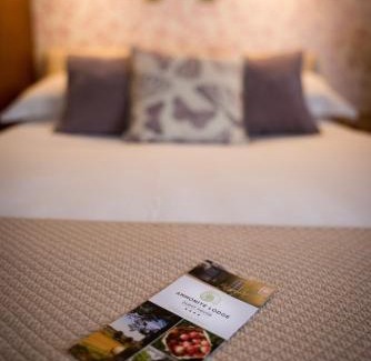 Chard Casa | Ammonite Lodge