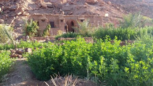 Tissint Otro | Amoudou Lodge Camp