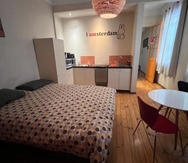 Santiago Apartamento | AMSTELHUIS APARTMENTS PROVIDENCIA Santiago Baquedano