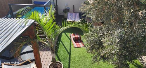 Isfiya Casa | Amy's paradis גן העדן של איימי