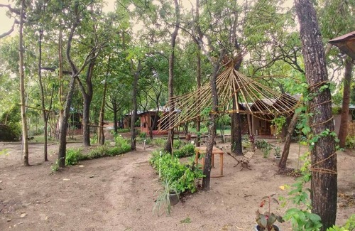 Neil Island Complejo | An Eco Resort