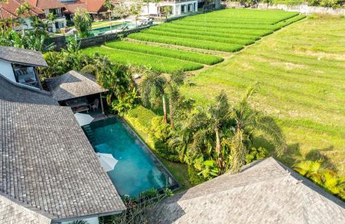 Pererenan Villa | Anam Villas Complex Canggu