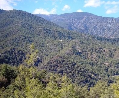 Vasa Koilaniou Cabina | Anastasi Tiny Homes