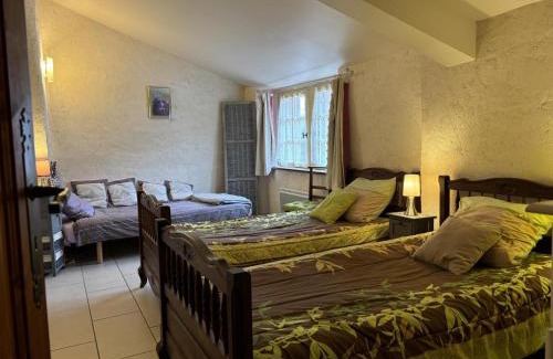 Saint-Bonnet-de-Rochefort Casa | Ancien atelier rénové, jardin clos, animaux acceptés - FR-1-489-181