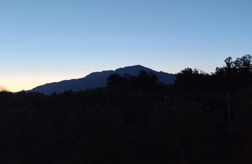 Coin Villa | Andalusian Pool Parties Music & Magic