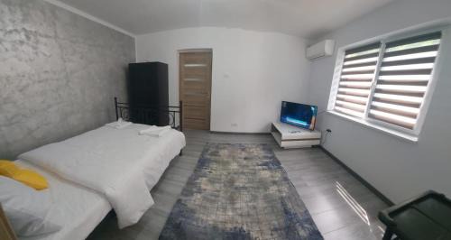 Baile Herculane Apartamento | ANDI 2-apartament