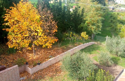 Servigliano Casa | Angela Garden B&B - Sunflower Room (quadruple)