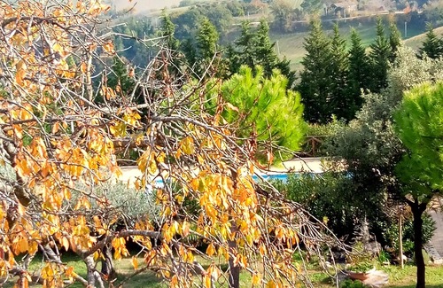 Servigliano Casa | Angela Garden B&B - East Room (triple)