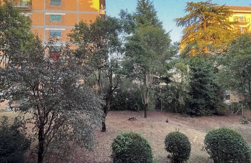 Monte Sacro Apartamento | Angelini House