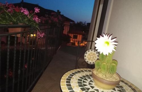 Agerola Casa | Angolo Fiorito