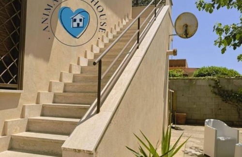 Focene Casa | Anima Guest House: Comfort and Relaxation in the Heart of Focene