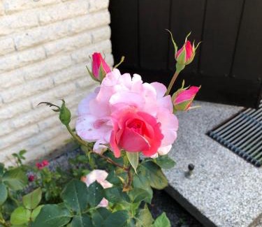 Kalvesta Casa | Anitas B&B Stockholm/Vällingby