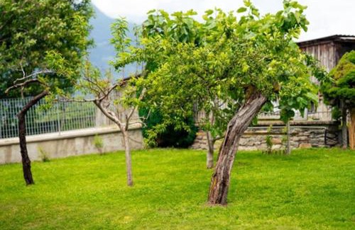 Albosaggia Apartamento | Anna nel verde