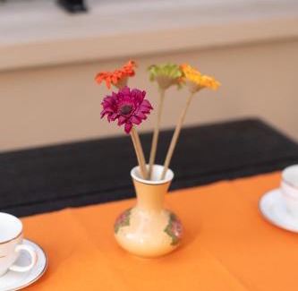 Lesvos Villa | Annas Cozy Stone House