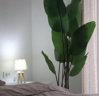 Bijeljina Apartamento | Anti-Age Apartmani