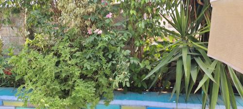 The 5th Settlement Apartamento | Aos106