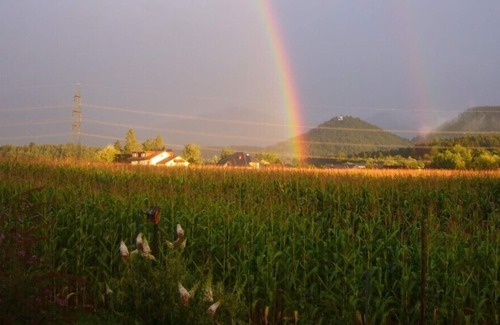 Klopein am Klopeiner See Apartamento | Apartamento / apartamento en plena naturaleza