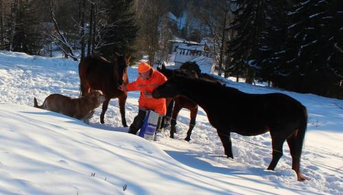Albrechtice v Jizerskych horach Apartamento | Apartmány - Chalupa Tara