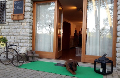 Ciggiano Apartamento | Apartamento en el corazón de la Toscana