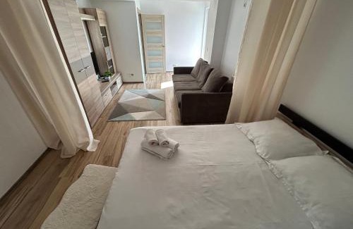 Iasi Apartamento | Apartament 1 camera Rivers Towers cu parcare privată