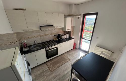 Iasi Apartamento | Apartament 1 camera Rivers Towers cu parcare privată