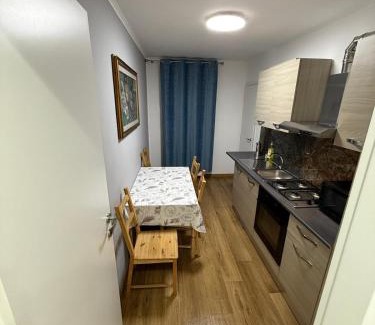 Fagaras Apartamento | Apartament Bibi