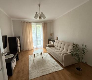 Swiebodzice Apartamento | Apartament dla 4 osób