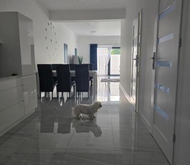 Bodzentyn Apartamento | Apartament Gościniec