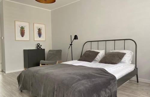 Swidnica Apartamento | APARTAMENT KILIŃSKIEGO 9
