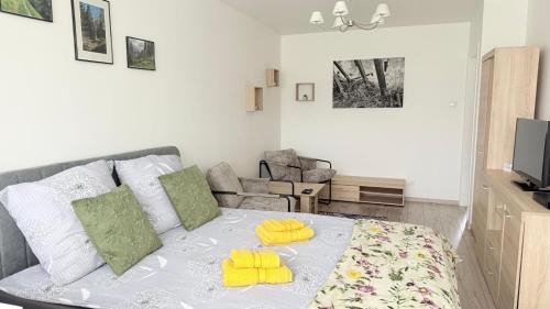 Stronie Slaskie Apartamento | Apartament KOREK