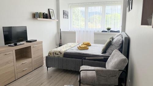Stronie Slaskie Apartamento | Apartament KOREK