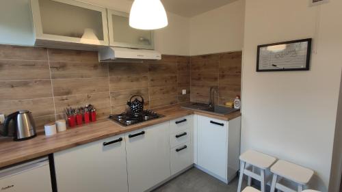 Stronie Slaskie Apartamento | Apartament KOREK