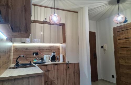 Mikolajki Apartamento | Apartament Króla Sielaw - Mikołajki