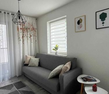 Olesnica Apartamento | Apartament LUCA z balkonem